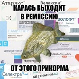 Telegram profile photo for Плесенев компост
