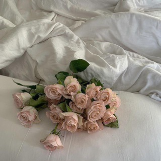 Telegram profile photo for اِطمئنان '