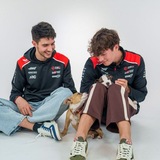 Telegram profile photo for ` bearcon team