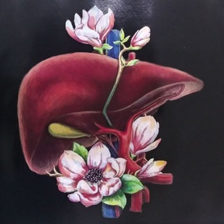 Telegram profile photo for Dr Liver