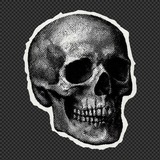 Telegram profile photo for Some artist ...