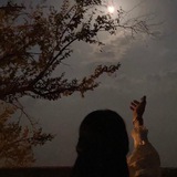 Telegram profile photo for - وححيدة كألقمـر .