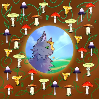 Telegram profile photo for 🌿🍄𝐂𝐫𝐨𝐜𝐨𝐳𝐲𝐚𝐛𝐫𝐢𝐬 | 𝐨𝐟𝐟𝐢𝐜𝐢𝐚𝐥🍄🌿