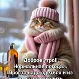 Telegram profile photo for Ватник🤪