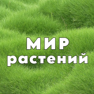 Telegram profile photo for Мир Растений 🌳 дача