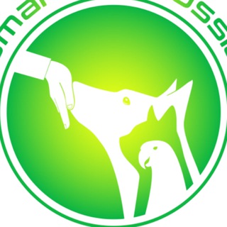 Telegram profile photo for Центр зоопсихологии и зоо отель СмартдогРаша/SmartDogRussia