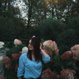 Telegram profile photo for сибирская язва
