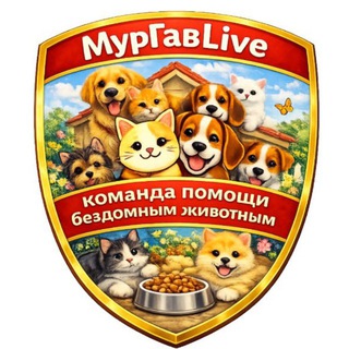 Telegram group profile photo for МурГавLive 🐾