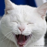 Telegram profile photo for За секунду до …