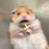 Telegram profile photo for ЦИТОДЕЛЬНИК