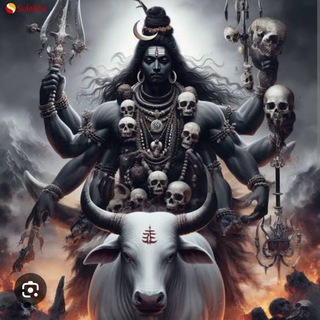 Telegram profile photo for 🔥 सिंगल जोड़ी ट्रिक 🔥