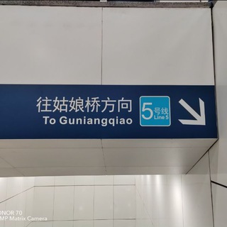 Telegram profile photo for 上海·熊本熊の集合室