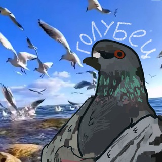 Telegram profile photo for 🕊️Голубец🕊️