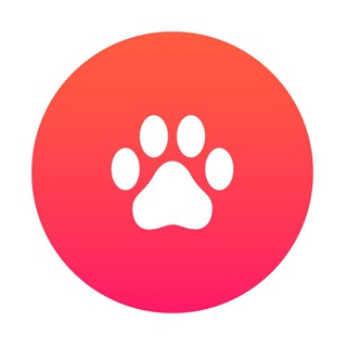 Telegram profile photo for Bear coin