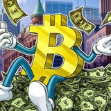 Telegram profile photo for BINARY OPTIONS TRADING 💸💰