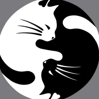 Telegram profile photo for Братство КотикоВ🐈