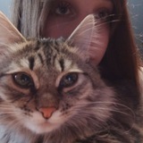 Telegram profile photo for я люблю свою кошку