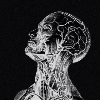 Telegram profile photo for RadiologyHub