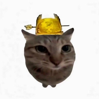 Telegram profile photo for XT资源泛滥主频道🇨🇳