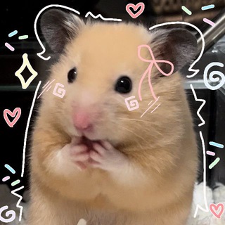 Telegram profile photo for forms
