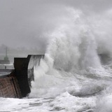 Telegram profile photo for Natural Disasters