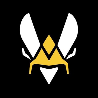 Telegram profile photo for Team Vitality CS2🐝