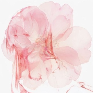 Telegram profile photo for #Sifikz