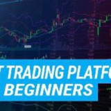 Telegram profile photo for Trader all platform