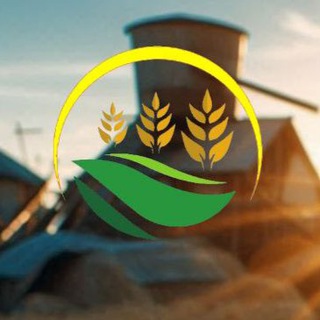 Telegram profile photo for Летон Перевезення🚛