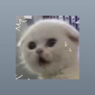 Telegram profile photo for Трафик на телеграм моделей