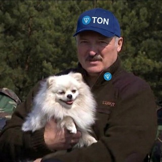 Telegram group profile photo for $UMKA ( TON IS FLIPPING SOL SLOWLY BUT SURELY)