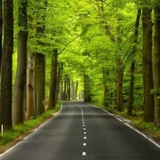 Telegram profile photo for Hayat Yolu