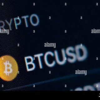 Telegram profile photo for BTCUSD