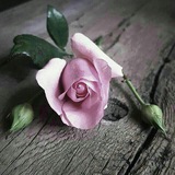 Telegram profile photo for ﮫــمـســات قطــنـــيــﮫ