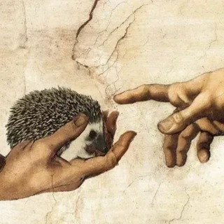 Telegram profile photo for Канал в Telegram