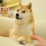 Telegram profile photo for ๐๐๐๐๐๐ซ