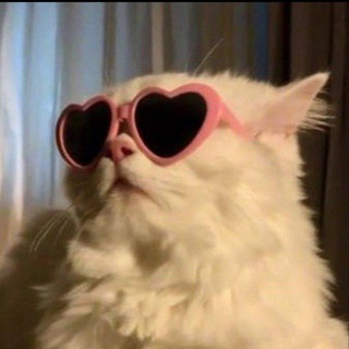 Telegram profile photo for ݺ،ارنُوبةة🦢💓.
