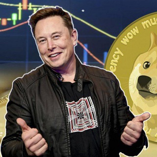 Telegram profile photo for Crypto Musk