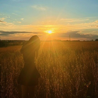 Telegram profile photo for киса