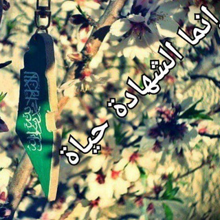 Telegram profile photo for 💚إنما الشهادة حياة 💚