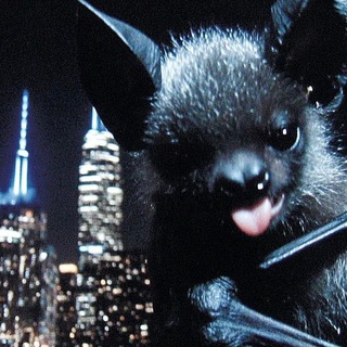 Telegram profile photo for liptonjpg