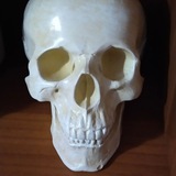 Telegram profile photo for Это - другое!