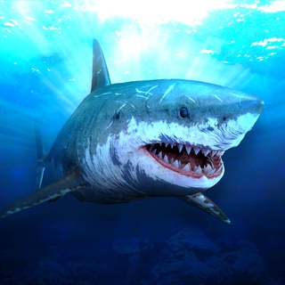 Telegram profile photo for Survive on Raft (EN)