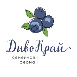 Telegram profile photo for ФХ «Дивокрай» | ягоды и саженцы голубики