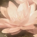 Telegram profile photo for переходник анонима