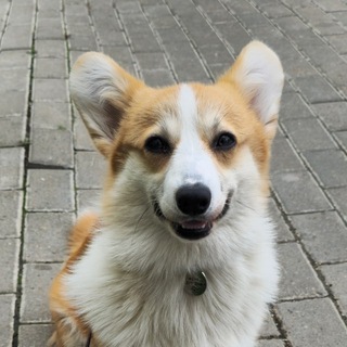 Telegram group profile photo for НАШЛИ