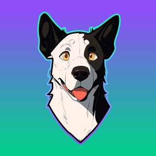 Telegram profile photo for Opie - Executive Director of the Solana Foundation dog