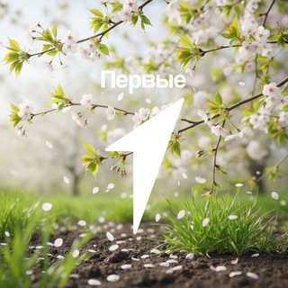 Telegram profile photo for Движение Первых | Новошешминский район