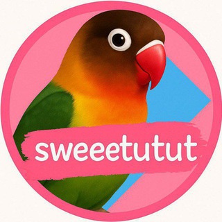 Telegram profile photo for ʟᴘᴍ sᴡᴇᴇᴛᴜᴛᴜᴛ || ᴄᴇᴋ ᴅᴇꜱᴋ