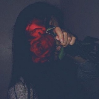 Telegram profile photo for 🥀Broken Home🏚 💔